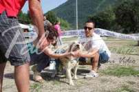 2 Esposizione canina 29.6.2014 Pico - IMG_4019